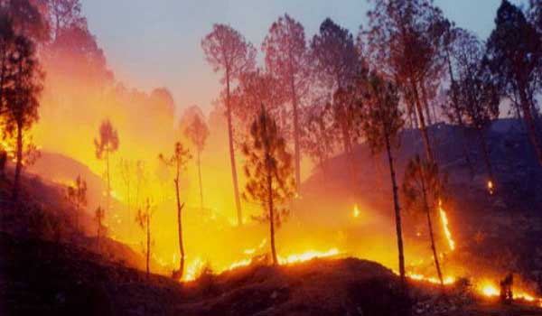 पहाडी जंगलों की आग कैसे बनेगी मैदानों के लिए खतरा