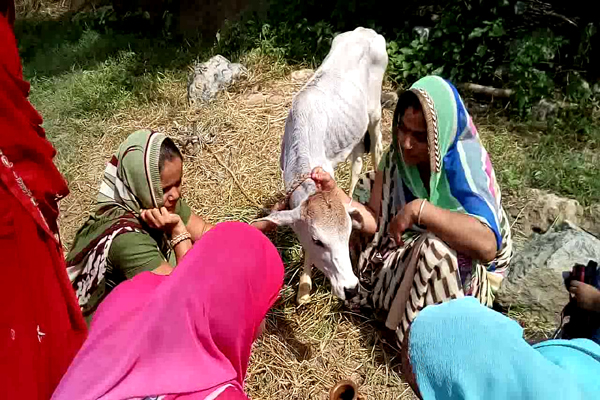 माताओं ने किया गोवत्स पूजन